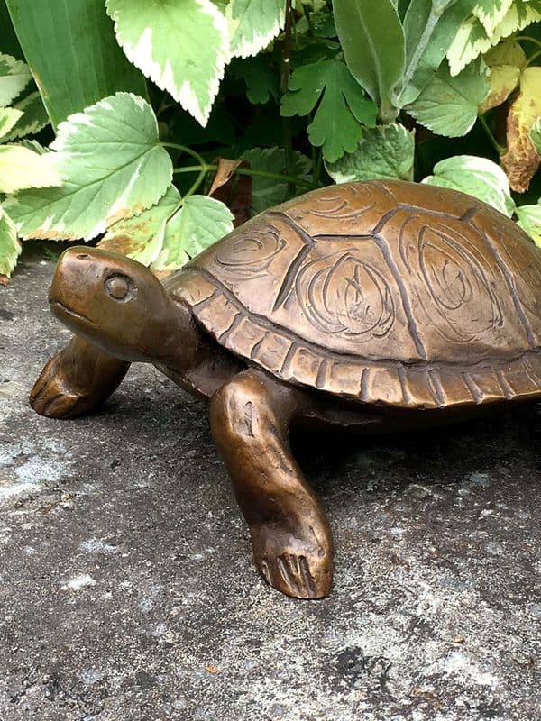 Bronze sculpture: Turtle by Georgia Gerber